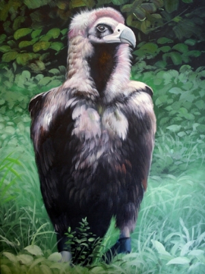 Bastian Krause - Birds